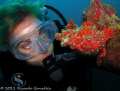   Marmaid frogfish  